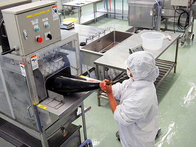製造工場